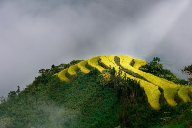 Kinh nghiệm du lịch Hoàng Su Phì hữu ích cho các phượt thủ