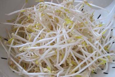 Giá đỗ tẩm hóa chất: Ăn một lần, hại cả đời