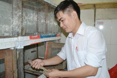 Thạc sỹ bỏ bục giảng về khởi nghiệp từ 300 nghìn thành 'vua dế'