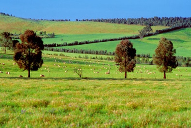 Đại gia Việt mạnh tay chi 18 triệu USD mua trang trại Australia