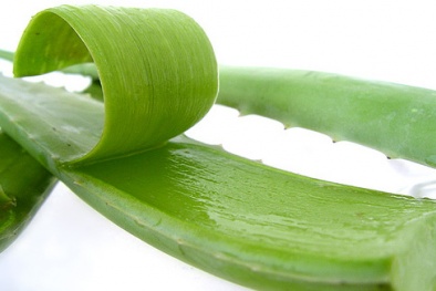 Mách bạn cách trị mụn đơn giản từ nha đam