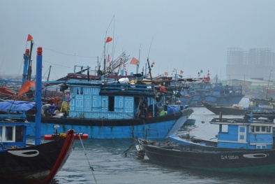 Chủ động ứng phó với áp thấp nhiệt đới diễn biến khó lường
