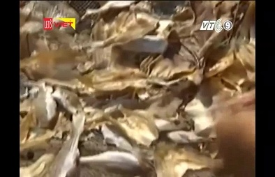 Rùng mình lời thú nhận của chủ cơ sở sản xuất cá khô 'ngậm' thuốc trừ sâu