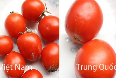 Phân biệt cà chua Việt Nam và Trung Quốc