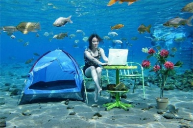 Giới trẻ sốt rần rần với trào lưu check in dưới đáy biển 