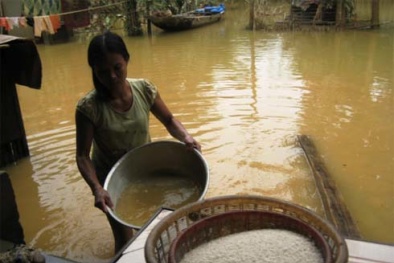 Cục ATTP khuyến cáo người dân vùng lũ đề phòng ngộ độc thực phẩm