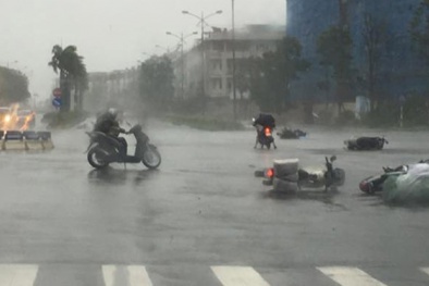 Bão số 7 Sarika: Mưa lớn xuất hiện tại Đông Bắc Bộ từ đêm nay