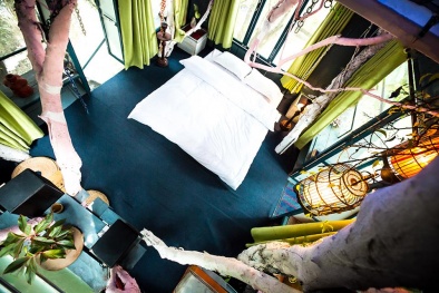 Độc đáo với những ngôi nhà trên cây ngay ngoại thành Hà Nội 