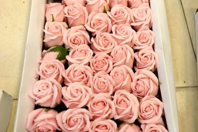 Ngày Phụ nữ Việt Nam 20/10: Thận trọng để không bị ngộ độc từ hoa hồng sáp