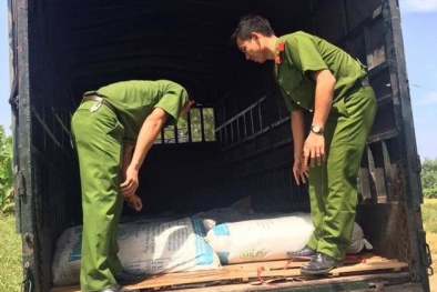 Phát hiện xe chở bì lợn bốc mùi đang trên đường tiêu thụ