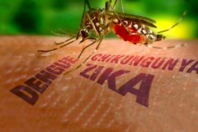 Người dân mơ hồ về xét nghiệm miễn phí virus Zika