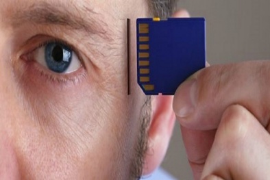 Cấy chíp vào não người để nâng cao trí thông minh