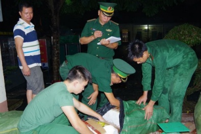 Phát hiện hơn 1,3 tấn thực phẩm đông lạnh vận chuyển vượt biên