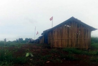 Phó Thủ tướng Trương Hòa Bình yêu cầu điều tra vụ 3 bảo vệ rừng bị bắn chết