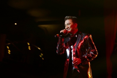 Nghệ sĩ Việt đồng loạt không nhận cát-sê trong đêm nhạc 'Trái Tim Miền Trung'