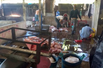 TP.HCM vẫn còn 130 điểm kinh doanh, giết mổ gia cầm trái phép ở 17 quận huyện