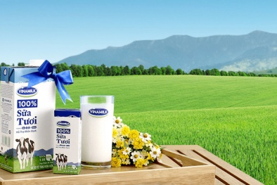 'Đại gia sữa' Vinamilk tấn công ra thị trường thế giới