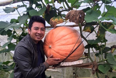 Halloween 2016: Tranh nhau mua bí ngô khổng lồ giá 5 triệu đồng/quả