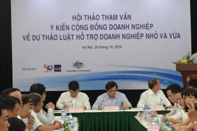 Luật hỗ trợ DN Nhỏ và Vừa sẽ thúc đẩy khu vực kinh tế tư nhân phát triển