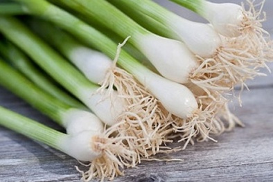 Chế biến hành lá sai cách có nguy cơ thành 'thuốc độc'