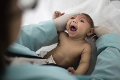 Phát hiện chấn động: Virus Zika có thể làm nam giới vô sinh