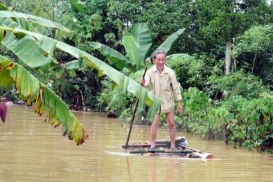 Dự báo thời tiết ngày 3/11: Mưa vừa, mưa to từ Quảng Trị đến Ninh Thuận