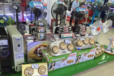 Thị trường thiết bị sưởi ấm: Sôi động ngay từ đầu vụ