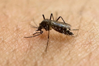 Những biến chứng nguy hiểm của virus Zika