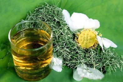 Công dụng chữa bệnh tuyệt vời của lá sen bạn đã biết?