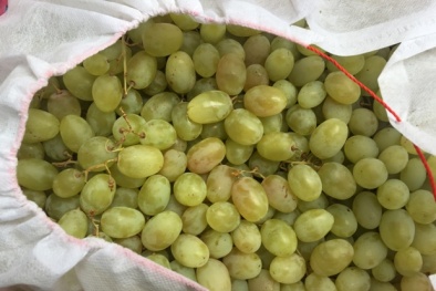 Quảng Ninh: Liên tiếp phát hiện hoa quả không đảm bảo tại chợ Hạ Long 1 