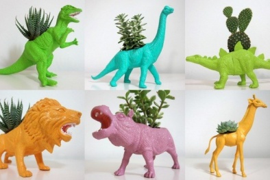 Đặt những món đồ sau lên bàn làm việc sẽ không thể thăng tiến