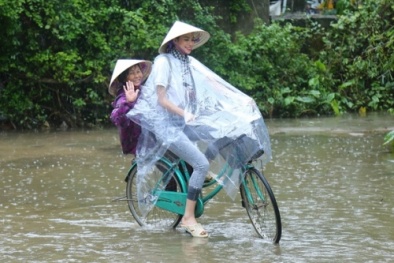 Hoa hậu Phạm Hương đội mưa dầm dề giúp đỡ bà con ở Hà Tĩnh