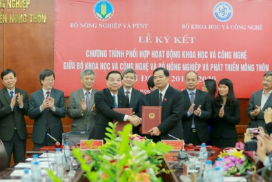 Giải pháp KH&CN là khâu đột phá tái cơ cấu nông nghiệp