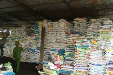 Phân bón giả được làm từ đất và vỏ cà phê, nông dân lãnh đủ