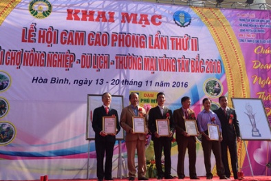 Cam Cao Phong thành thương hiệu chất lượng nhờ áp dụng VietGap