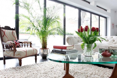 Những mẹo trang trí cây cảnh trong nhà mang tài lộc cho bạn