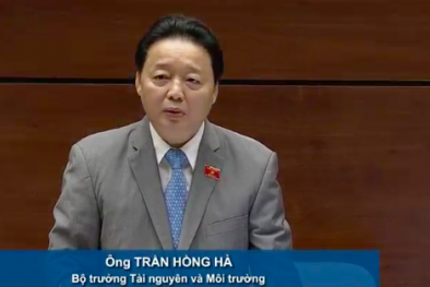 Quốc hội chất vấn Bộ trưởng Tài nguyên và Môi trường