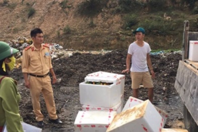 Bắt giữ xe khách vận chuyển hơn 1 tấn quýt không rõ nguồn gốc