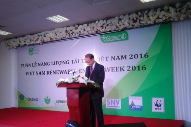 Việt Nam cần thúc đẩy phát triển hơn nữa ngành năng lượng tái tạo