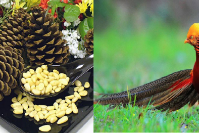 Tết Đinh Dậu 2017: Điểm danh những món quà độc - lạ biếu sếp