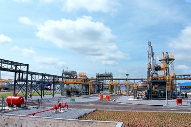 Kiểm toán Nhà nước đề nghị xử lý vi phạm tại Diamon phốt phát số 2