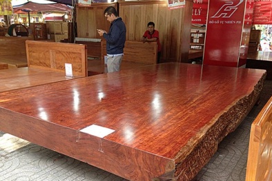 Phản gỗ giá 3,8 tỷ bằng căn biệt thự trong nhà đại gia Việt