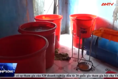 Rợn người cảnh chế biến tương ớt giả từ hoá chất Trung Quốc ở Đồng Nai