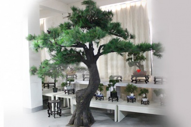 Vạch mặt gian thương dùng keo dán tạo hình độc đáo cho cây cảnh, bán giá cao