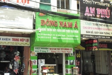 Công ty Đông Nam Á bị phạt 28 triệu đồng vì nhiều lỗi vi phạm