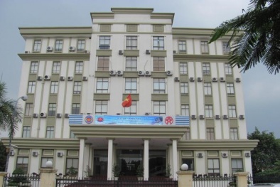 Doanh nghiệp 'bỏ trốn', ngành Hải quan thất thu tiền thuế 'khủng'