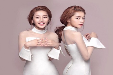 Nhìn lại một năm thành công rực rỡ của Chi Pu