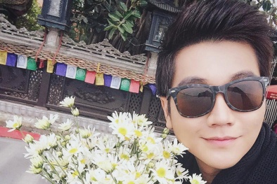 Người Hà Nội khoe cúc họa mi đẹp 'trong veo' trên mạng xã hội