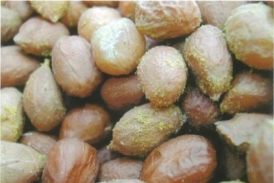 Nguy hiểm tiềm ẩn từ thực phẩm bị nhiễm nấm mốc