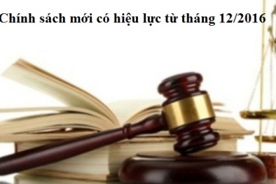 Những chính sách mới của Chính phủ có hiệu lực từ tháng 12/2016